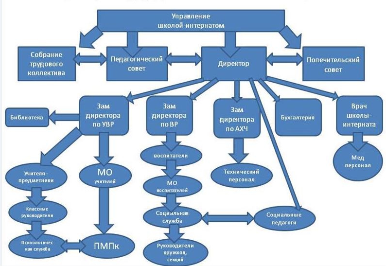 Структура управления в школе в виде схемы